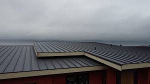 Roof Coating Services in Benton, IL